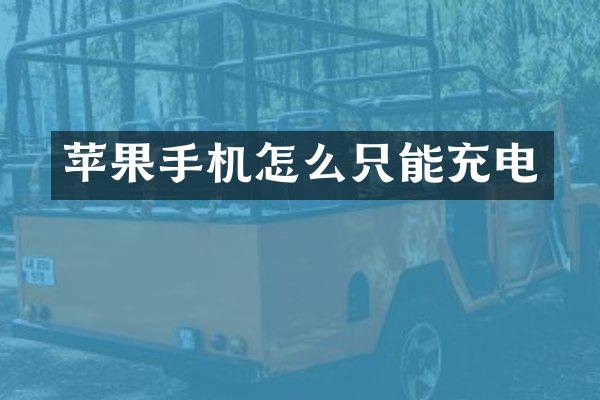 苹果手机怎么只能充电