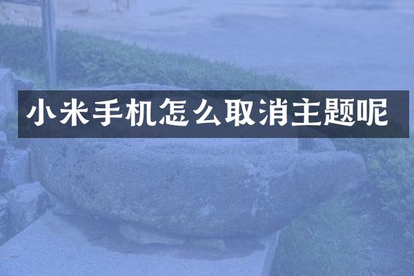 小米手机怎么取消主题呢