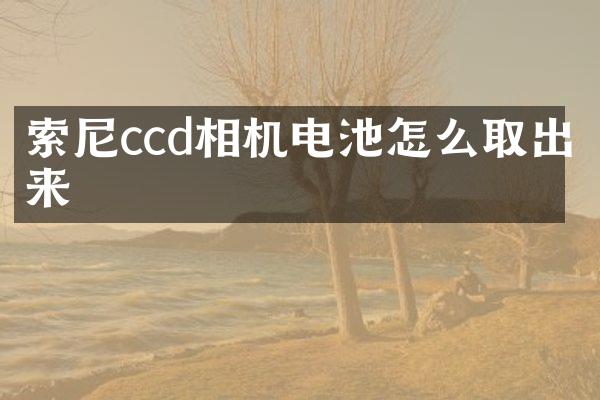 ccd相机电池怎么取出来