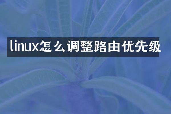 linux怎么调整路由优先级