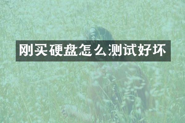 刚买硬盘怎么测试好坏