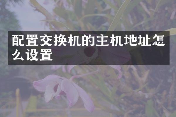 配置交换机的主机地址怎么设置