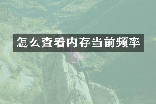 怎么查看内存当前频率