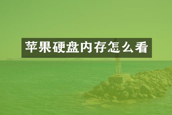 苹果硬盘内存怎么看