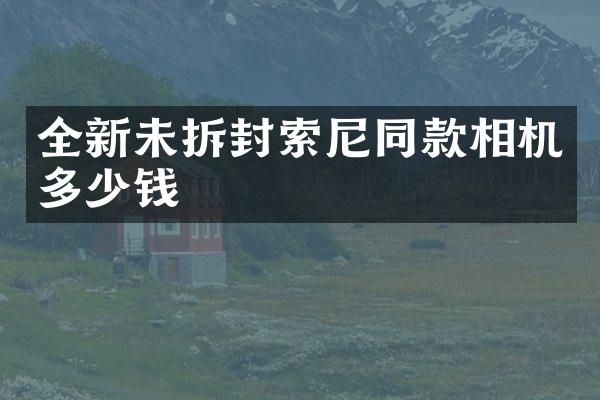 全新未拆封同款相机多少钱