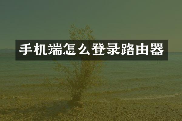 手机端怎么登录路由器