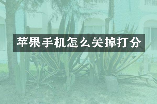 苹果手机怎么关掉打分