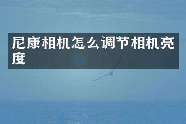 尼康相机怎么调节相机亮度