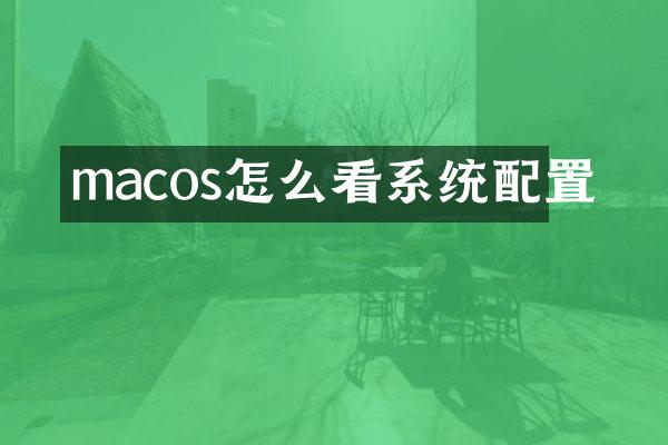 macos怎么看系统配置