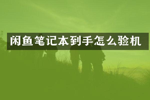 闲鱼笔记本到手怎么验机