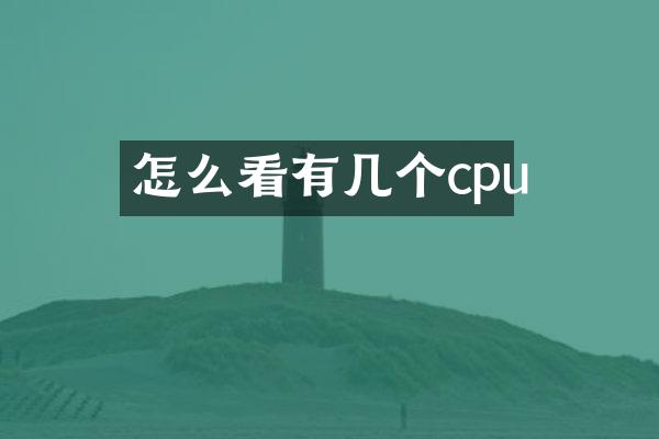 怎么看有几个cpu
