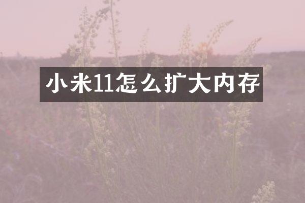 小米11怎么扩大内存