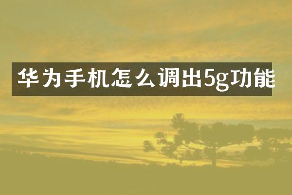 华为手机怎么调出5g功能