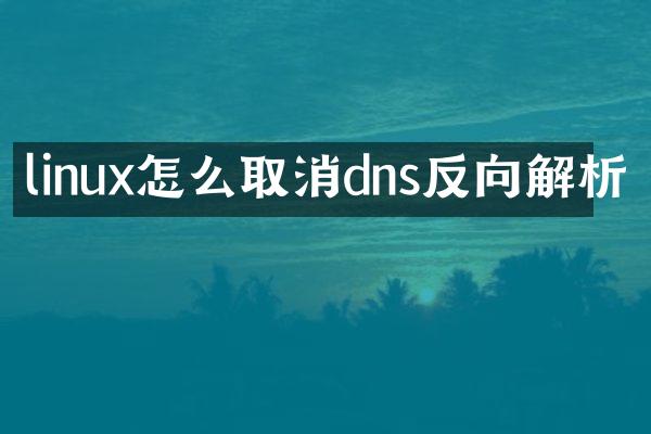 linux怎么取消dns反向解析