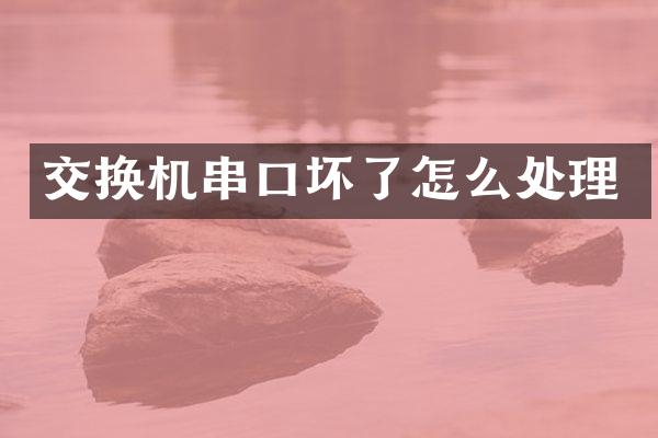 交换机串口坏了怎么处理