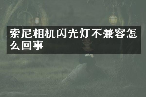 相机闪光灯不兼容怎么回事