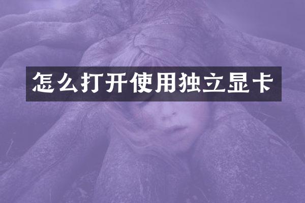 怎么打开使用独立显卡