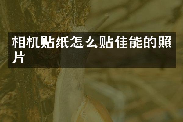相机贴纸怎么贴佳能的照片