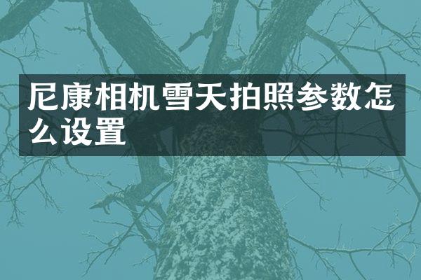 尼康相机雪天拍照参数怎么设置