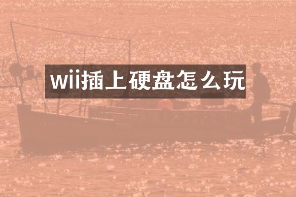 wii插上硬盘怎么玩