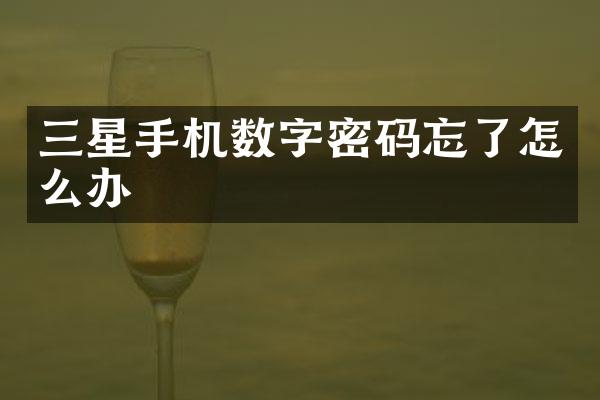 三星手机数字密码忘了怎么办