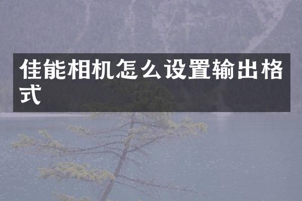 佳能相机怎么设置输出格式