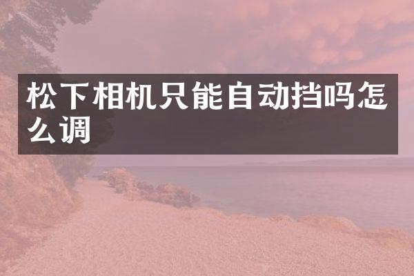 相机只能自动挡吗怎么调