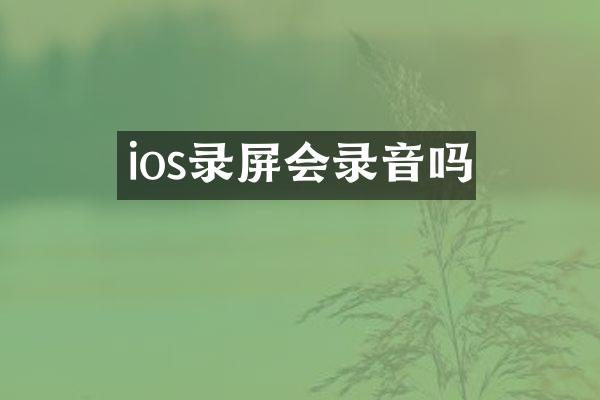 ios录屏会录音吗