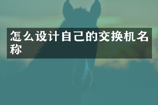 怎么设计自己的交换机名称