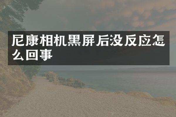 尼康相机黑屏后没反应怎么回事