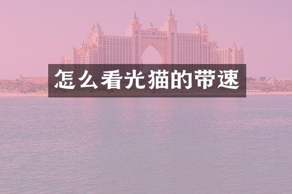怎么看光猫的带速