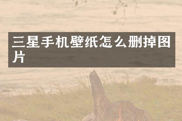 三星手机壁纸怎么删掉图片