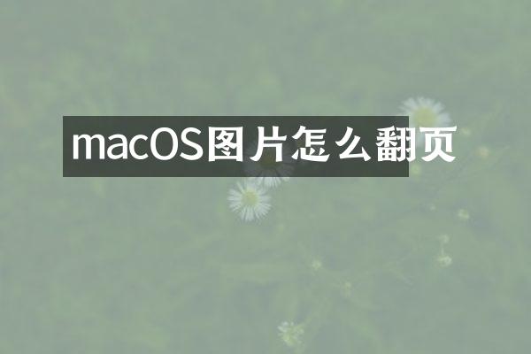 macOS图片怎么翻页