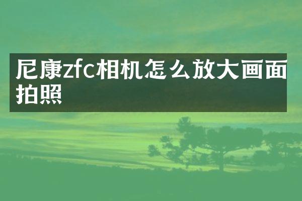 尼康zfc相机怎么放大画面拍照