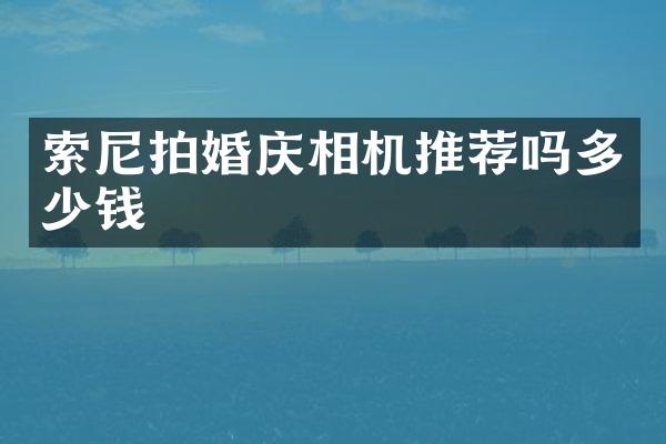拍婚庆相机推荐吗多少钱