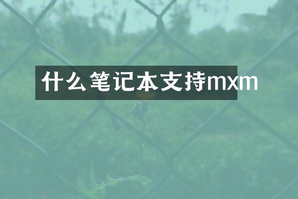 什么笔记本支持mxm