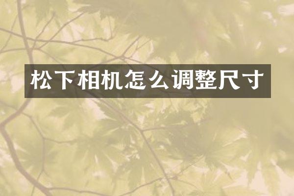 相机怎么调整尺寸
