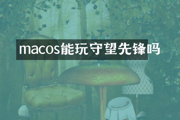 macos能玩守望先锋吗