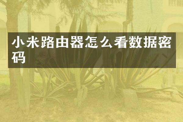 小米路由器怎么看数据密码