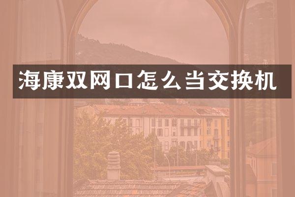 海康双网口怎么当交换机