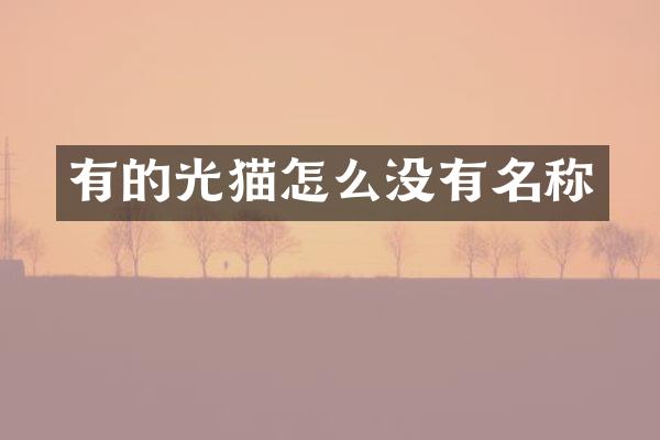 有的光猫怎么没有名称
