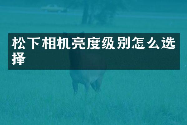 相机亮度级别怎么选择