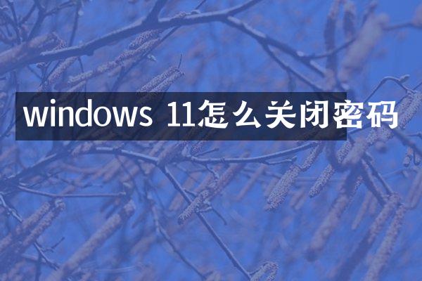 windows 11怎么关闭密码