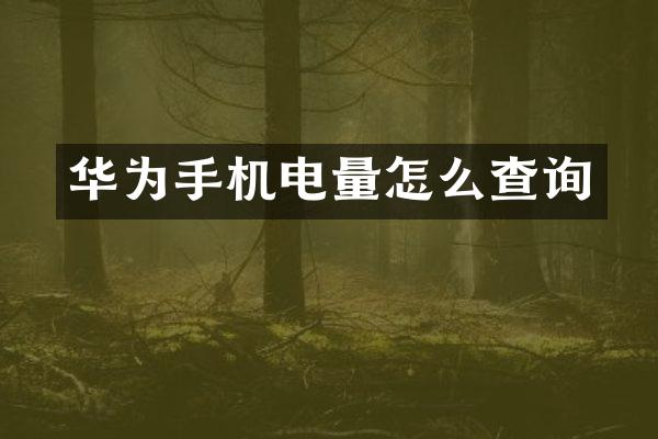 华为手机电量怎么查询