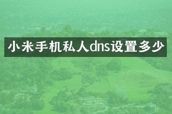 小米手机私人dns设置多少