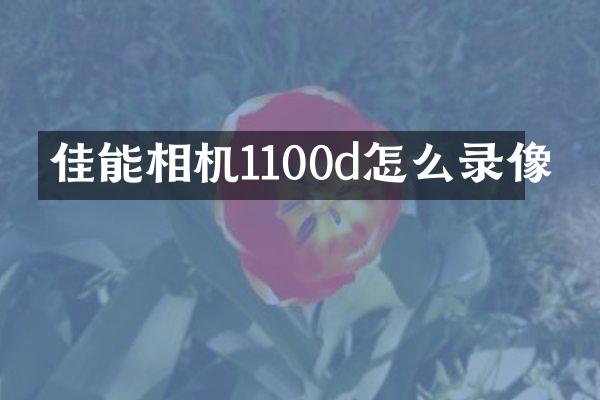 佳能相机1100d怎么录像