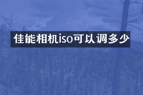 佳能相机iso可以调多少