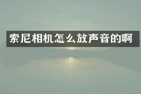相机怎么放声音的啊