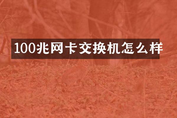100兆网卡交换机怎么样