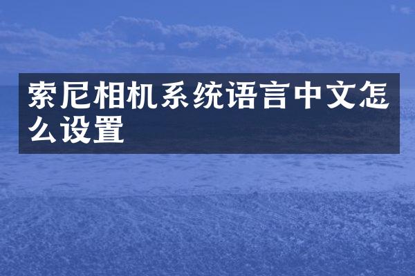 相机系统语言中文怎么设置